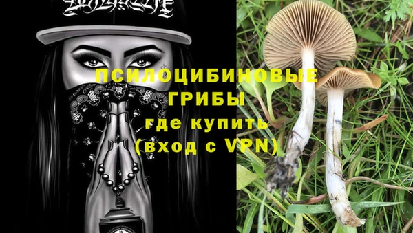 PSILOCYBIN Алексеевка