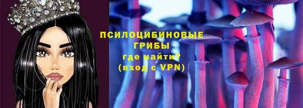 гидра Алексин