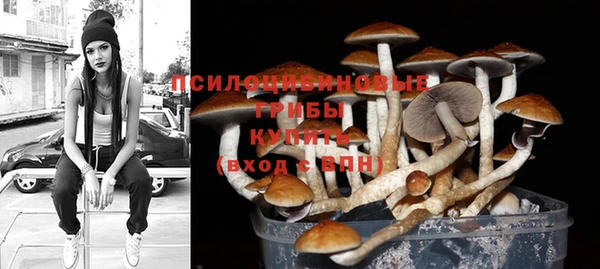 PSILOCYBIN Алексеевка